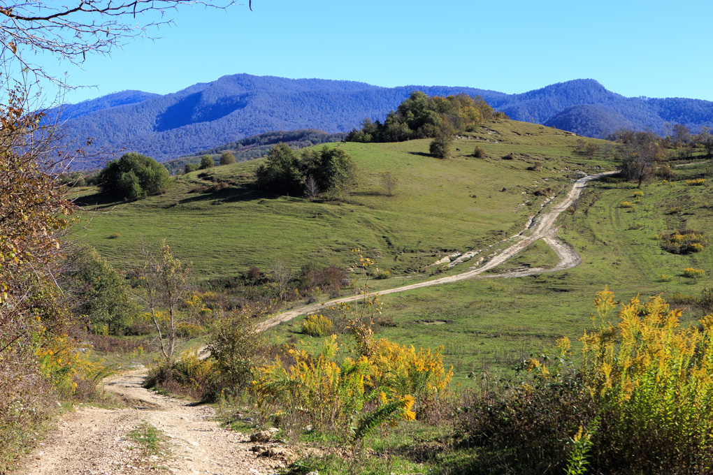 Tsebelda